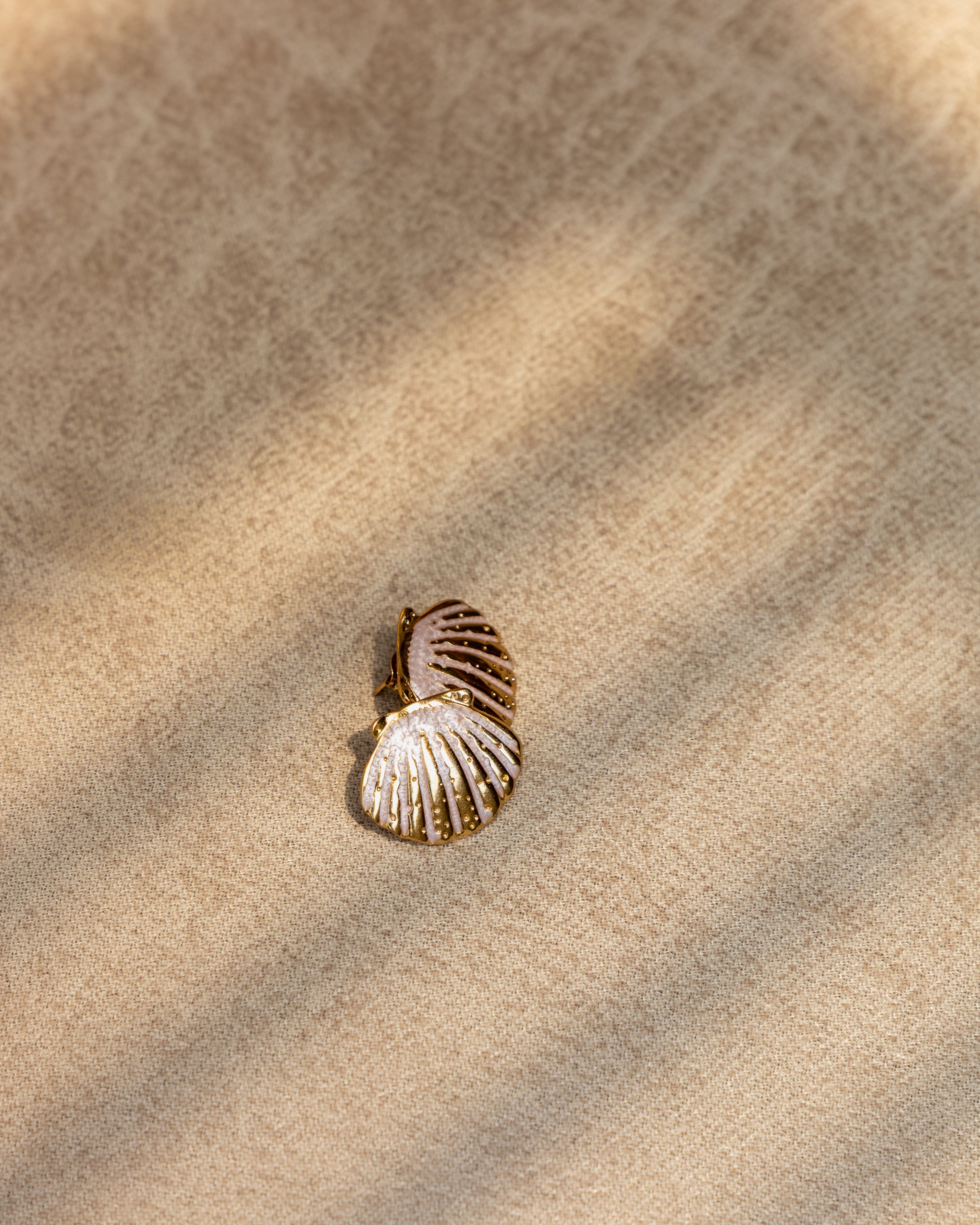 Scallop Shell Earrings